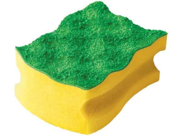 Cleaning Sponges