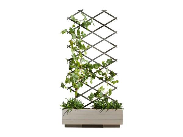 Parkside Expanding Wooden Trellis