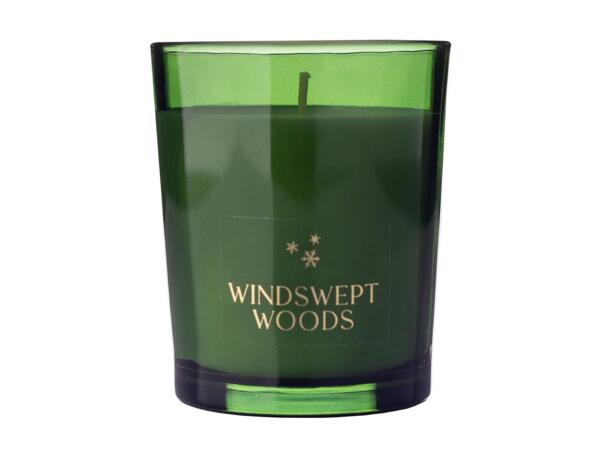 Windswept Woods Scented Candle