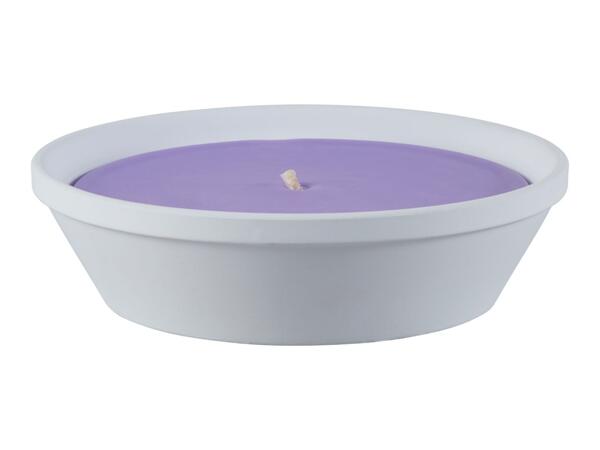 Citronella Candle