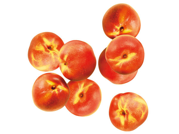 Nektarinen