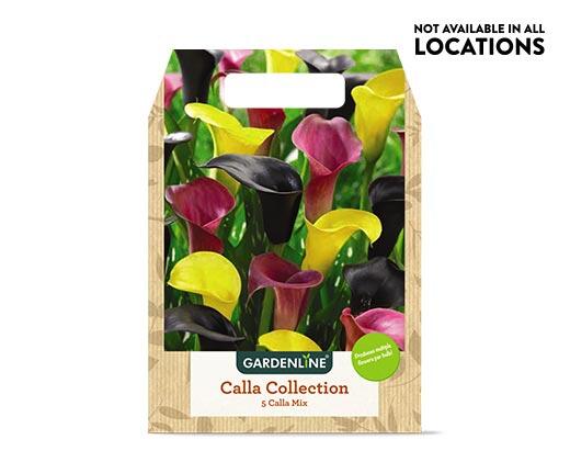 Gardenline 
 Mixed Spring Bulbs Assorted Varieties