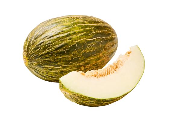 Piel de Sapo meloun cukrový