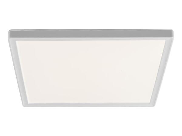 LIVARNO home Stropní LED svítidlo s pohybovým senzorem