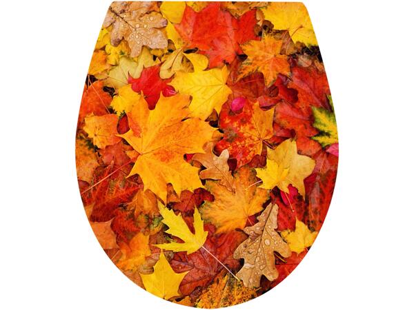Duroplast Toilet Seat