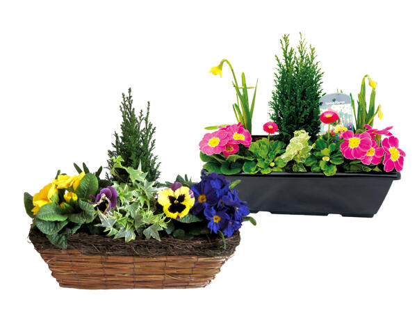 Wicker Window Box