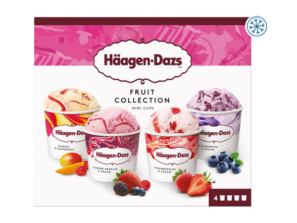 Häagen-Dazs Fruit Collection Ice Cream Pots