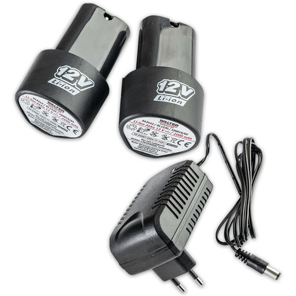 2in1 Akku-Hecken- und Astschere 12 V