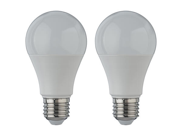 LED Light Bulbs