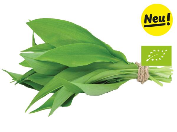 Bio Bärlauch