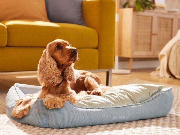 Pet Bed Assortment