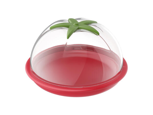 Food Container or Avocado Peeler