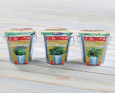 Zinc Planter