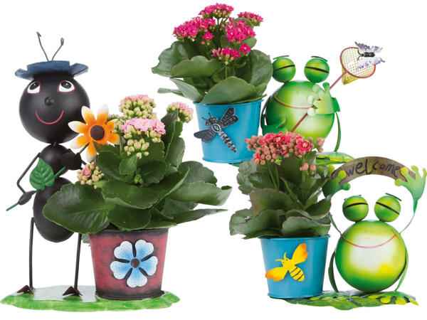 Zinkfigur mit Kalanchoe