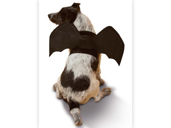 Halloween Dog Costume