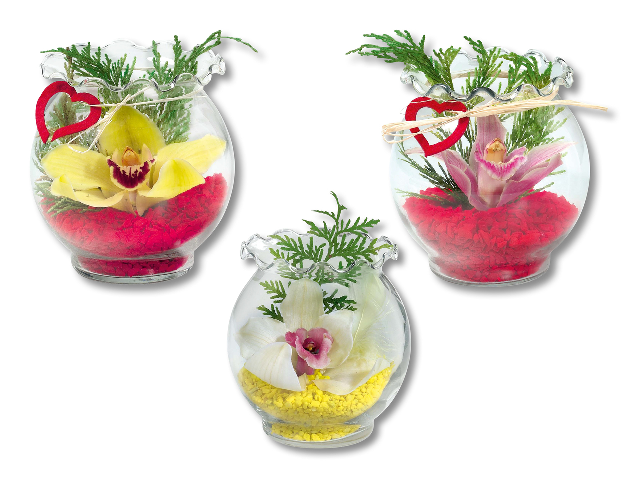 Orchidée dans un verre à bord ondulé