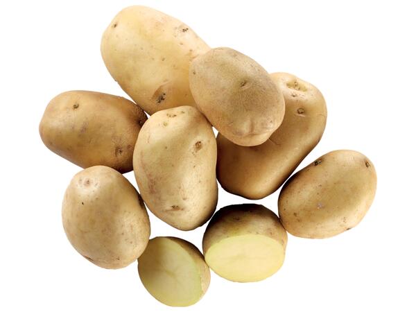 Bologna Potatoes PDO