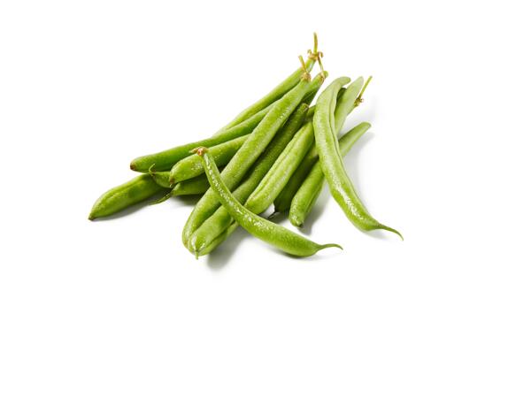 Green Beans XXL