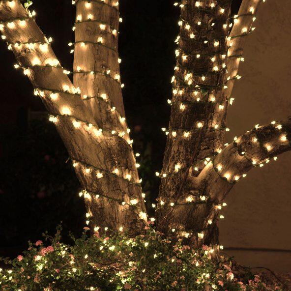 HOME CREATION(R) 				LED-Lichterkette, 1000 LEDs