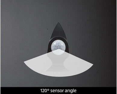 Solar Post Light or Post/Wall Light
