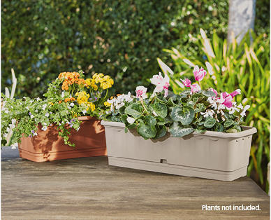 Box Planter
