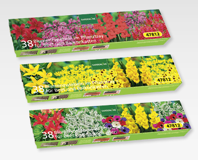 Bulbi di fiori