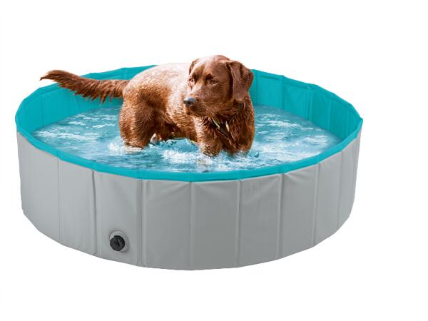 Dog Pool
