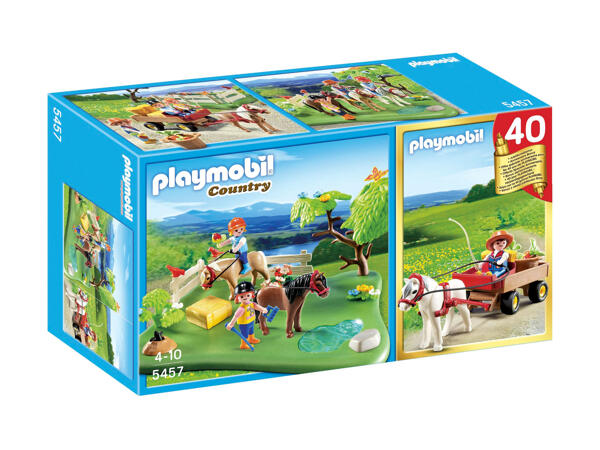 Playmobil Play Set Large