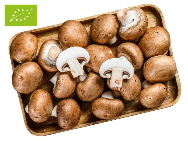 Bio Champignons braun