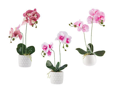Artificial Plants in Decorative Pots