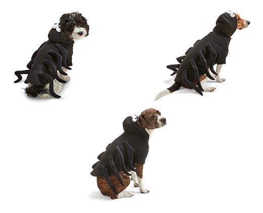 Heart to Tail
Pet Halloween Hoodie Costume