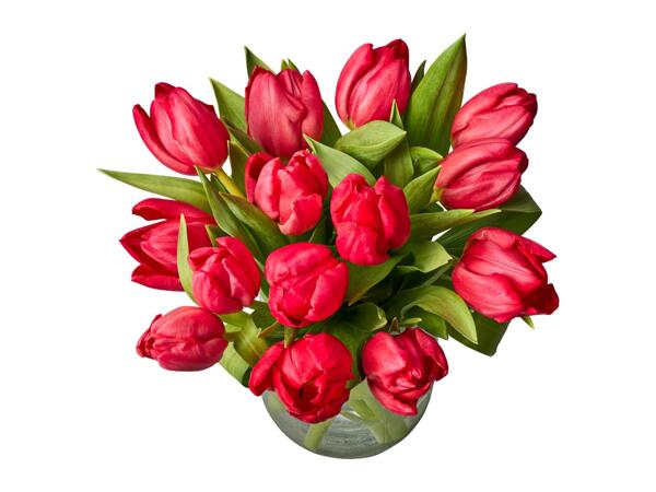 Valentine's Tulip Bouquet