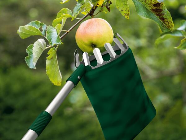 Teleskop-Obstpflücker