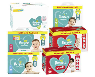 PAMPERS(R) 
 BABY DRY WINDELN/ PANTS MAXI PACK