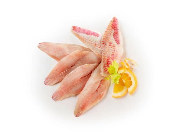 Atlantic mullet fillet