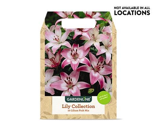 Gardenline 
 Mixed Spring Bulbs Assorted Varieties