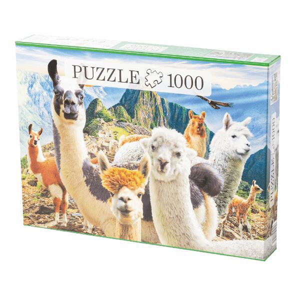 Puzzle