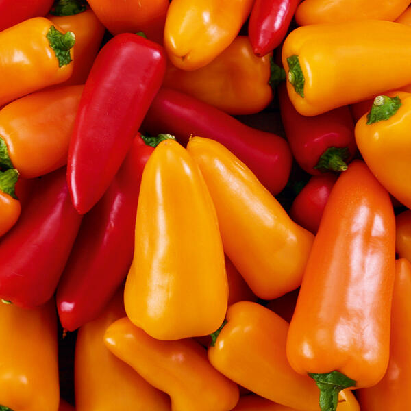 Premium Snackpaprika Mix