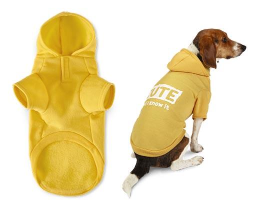 Heart to Tail 
 Pet Sweatshirt