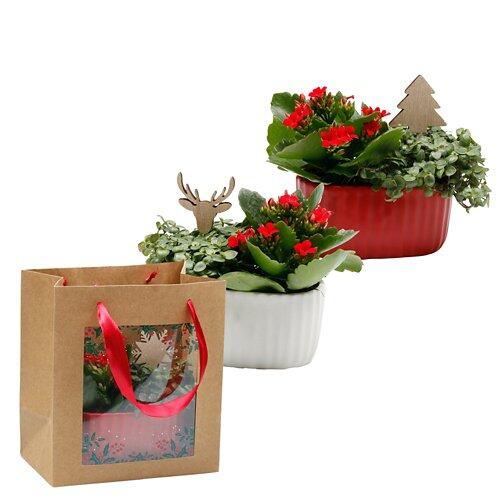 GARDENLINE Composition d'hiver dans un sac cadeau