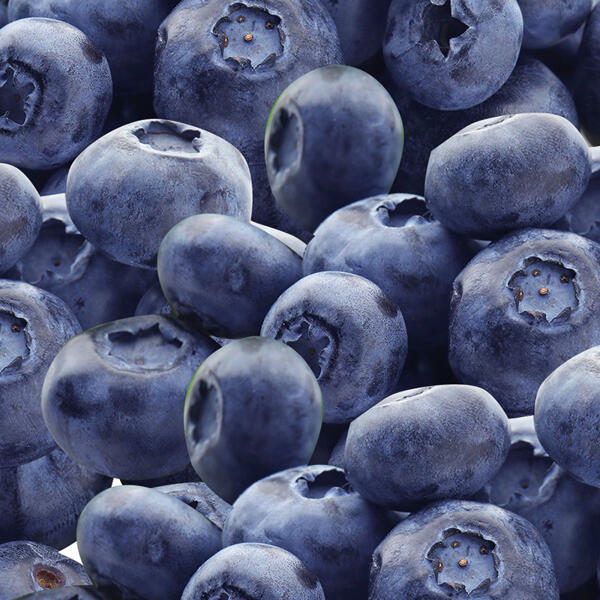 Premium Heidelbeeren