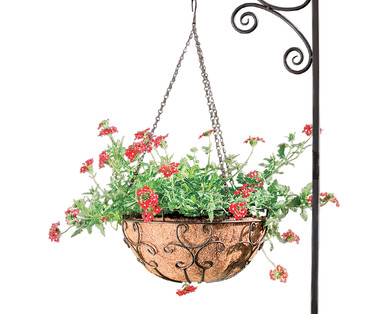 Gardenline Hanging Basket Assortment