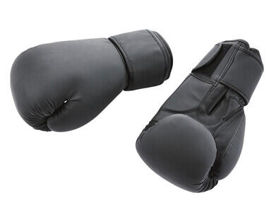 Boxing Gloves or Boxing Mitts