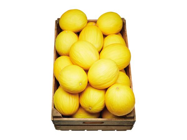 Honungsmelon