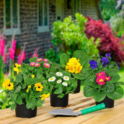 Forårsblomster