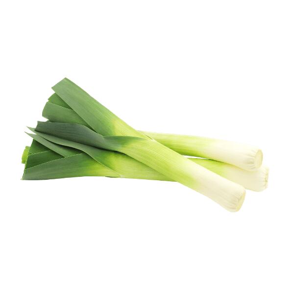 Danske porrer