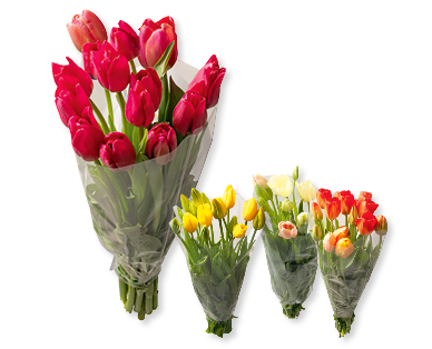 Tulipani francesi