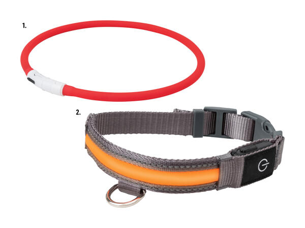 Collier à LED pour chien