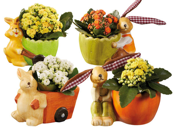 Keramikosterhase