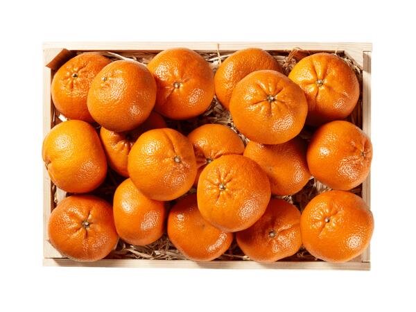 Clémentines